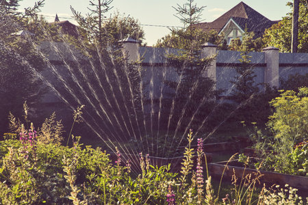 Fan irrigation system with a sprayer in the garden on a sunny summer day. Sprinkler system for watering plants. The concept of gardening, growing and caring for plants. High quality photoの写真素材