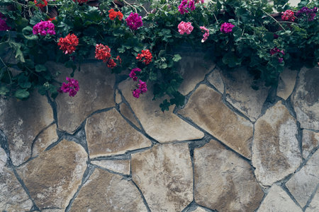 From above, geranium flowers on a stone surface made of large details, with space for copying. Natural stone background with flowers. High quality photoの写真素材