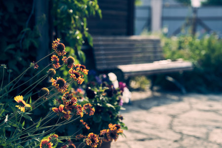 Beautiful garden flowers. Natural summer background on a wooden bench with space to copy. High quality photoの写真素材