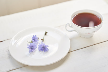 A drink made of chicory. Cichorium intybus, the flowers of which are usually called blue sailors, chicory, coffee grass or succorium is a herbaceous perennial plant. High quality photoの写真素材