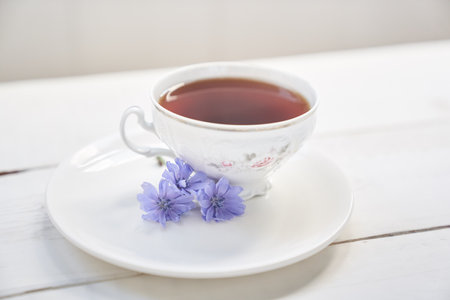 A drink made of chicory. Cichorium intybus, the flowers of which are usually called blue sailors, chicory, coffee grass or succorium is a herbaceous perennial plant. High quality photoの写真素材