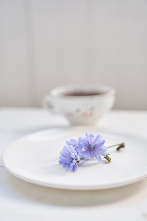 Against the background of a mug with an invigorating drink. Cichorium flowers in a saucer. Flowers of ordinary chicory or cichorium dioecious. With space to copy. High quality photoの写真素材