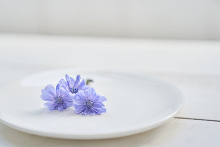 Close-up of chicory flowers lying on a saucer, on a white background. Beautiful wild blue or purple flowers, Beautiful background, with space to copy. High quality photoの写真素材