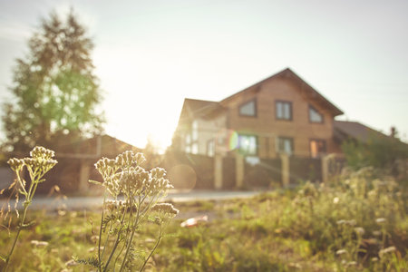 A country house with a summer garden behind a fence. The house is in the rays of the setting sun, a dog playing in front of the house.The concept of suburban life with space to copy.High quality photoの写真素材