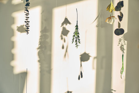 Mock up with artificial flowers levitating, hanging flowers on a white wall with window shadow. Background, backdrop with copy space. Template, mockup for your advertising, posters, product.の写真素材