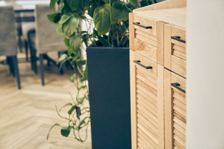 Close up view of black pot with plant Epipremnum with selective focus in interior of restaurant with wooden drawer. Background with copy space. Template, mock up for your design.の写真素材