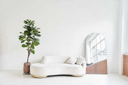 Modern interior in the style of white minimalism. Modern interior design for craftsmen with a white wall, sofa, fig tree, mirror and a copy space, mockup, template for your art. High quality photoの写真素材