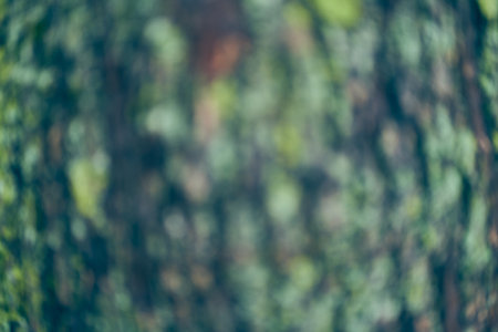 A blurred background of the woody texture of the tree bark, a blurred surface of the tree bark with space to copy. Layout for your design. High quality photoの写真素材