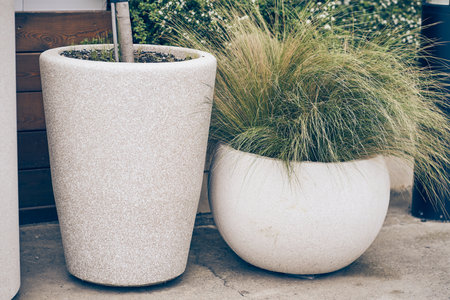 Mexican feathery grass or needle-winged grass with a fine texture of bright green and yellow foliage in a concrete pot. With space to copy. High quality photoの写真素材