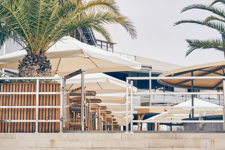Date palms at the entrance of the outdoor cafe. The restaurant is located on an outdoor summer terrace with an umbrella from the sun under a palm tree. There is a place to copy. High quality photoの写真素材