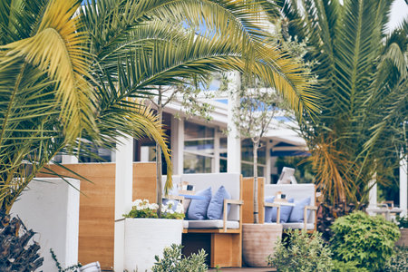 Selective focus on date palms in the foreground. A restaurant with soft sofas outdoors on the background of a glass building. With space to copy. High quality photoの写真素材