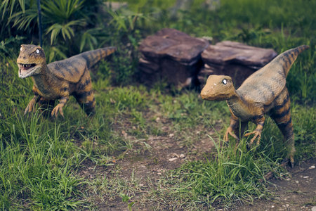 Two Velociraptors stand against a background of rocks and grass. This dinosaur lived at the end of the Cretaceous period. With space to copy. High quality photoの写真素材