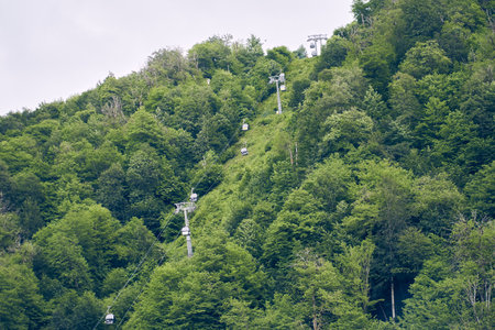 A birds-eye view of the funicular track against the background of a green forest. A green dense forest with space to copy. High quality photoの写真素材