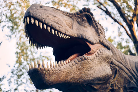 Sculpture of an aggressive Tyrannosaurus dinosaur, close-up of a dinosaur head with teeth in the jungle. With space to copy. High quality photoの写真素材