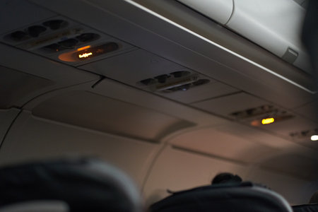 Special attention is paid to the ceiling of the passenger aircraft, where safety elements, buttons...