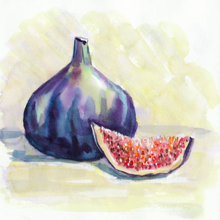 Watercolor bright drawing of fig, perfect for creative design and illustration.の写真素材
