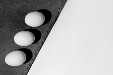 eggs black white photo white black backgroundの写真素材