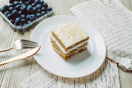 Honey cake with blueberries in a white saucer on the tableの写真素材