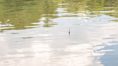 A fishing rod float on the surface of the water bites, fishing on a pondの写真素材