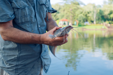 A man holds in his hands a caught catfish with a hook in his mouth in a pond, on in the parkの写真素材