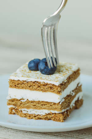 Honey cake with blueberries on a saucer with a forkの写真素材