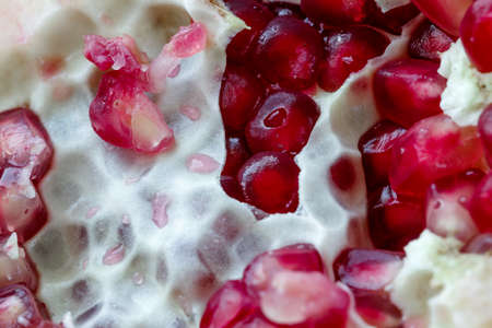 Pomegranate and pomegranate seeds macro photo lightの写真素材