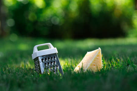 Miniature grater and a slice of cheese lie on a green lawn illuminated by the sun, macro photoの写真素材