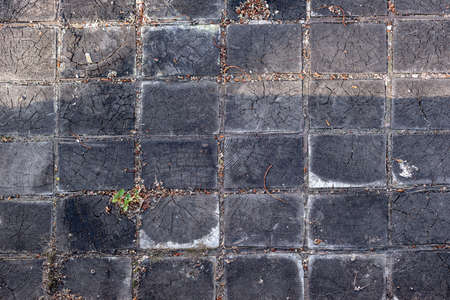 Texture of wood tiles in the park. Wooden paving stoneの写真素材