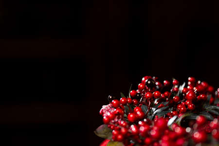Christmas wreath with red berries on a dark background, christmas background. High quality photoの写真素材