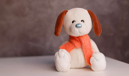 Soft toy white dog for kids sitting on a gray background, cute baby dog. high quality photoの写真素材