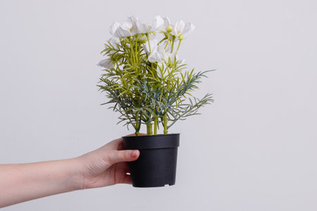 Plastic pot with an artificial plant in the hand of a girl on a white background. high quality photoの写真素材