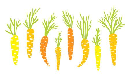 Set of bright carrots on a white background in a hand-drawn style.のイラスト素材