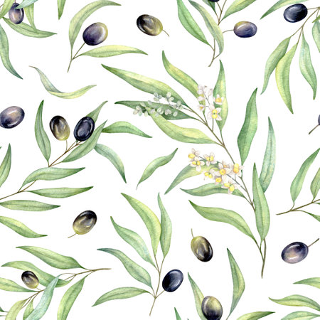 Watercolor seamless pattern of black olives. Hand painted illustration with olive branches flowers and leaves isolated on white backgroundの写真素材
