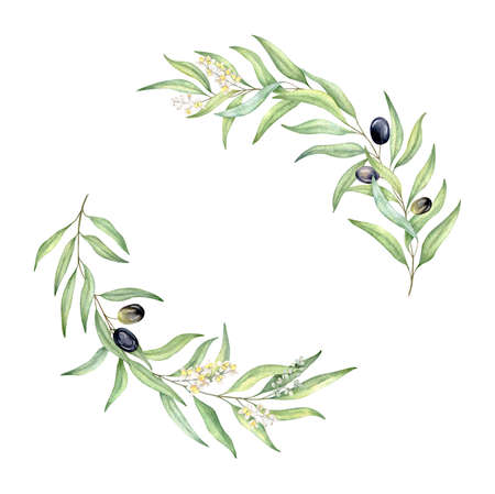 Watercolor greenery olive wreath, wedding invitation, logo designの写真素材