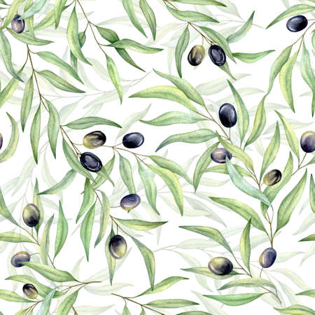 Watercolor seamless pattern of black olives. Hand painted illustration with olive branches flowers and leaves isolated on white backgroundの写真素材