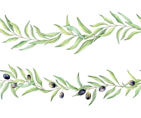Watercolor seamless border with black olive, branches and leaves. Hand drawn watercolor illustration. decorative design elements.の写真素材