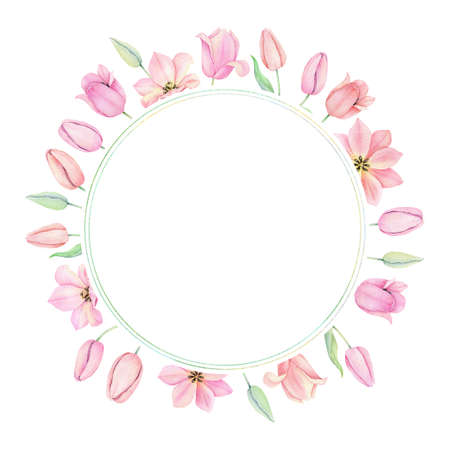 Watercolor pink tulip. Sping flowers isolated on white background.の写真素材