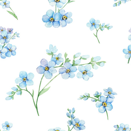 Watercolor seamless pattern of blue forget-me-nots. Hand painted illustration with summer flowers isolated on white backgroundの写真素材
