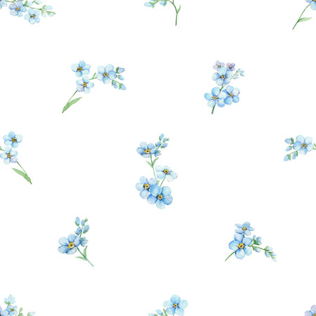 Watercolor seamless pattern of blue forget-me-nots. Hand painted illustration with summer flowers isolated on white backgroundの写真素材