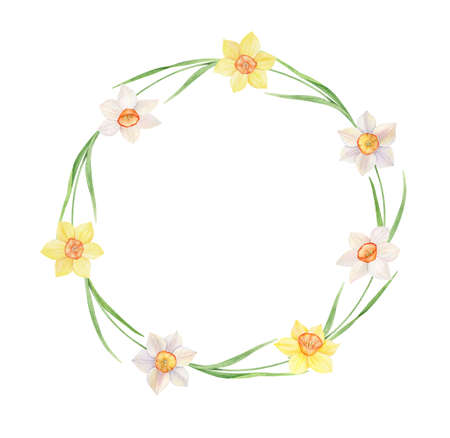 Watercolor Wreath of yellow and white daffodils. Hand painted illustration with spring flowers isolated on white background, frame for invitationの写真素材