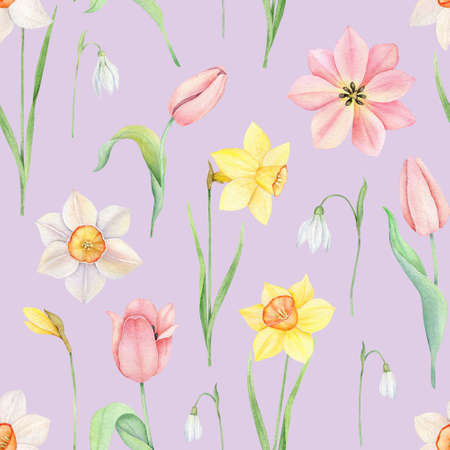 Floral seamless pattern. Watercolor pink tulip, yellow and white daffodles ornament. Hand drawn spring illustration for fabric, wrapping paperの写真素材