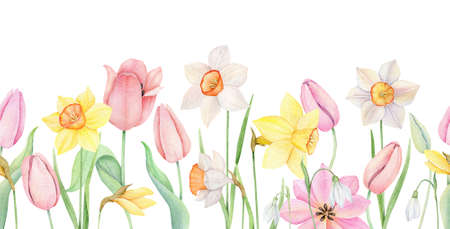 Floral seamless border. Watercolor pink tulip, yellow and white daffodles ornament. Hand drawn watercolor illustration. decorative design elements.の写真素材