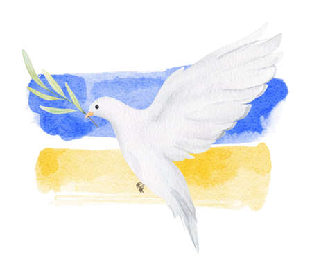 Watercolor peace dove with olive branch. Pray for Ukraineの写真素材