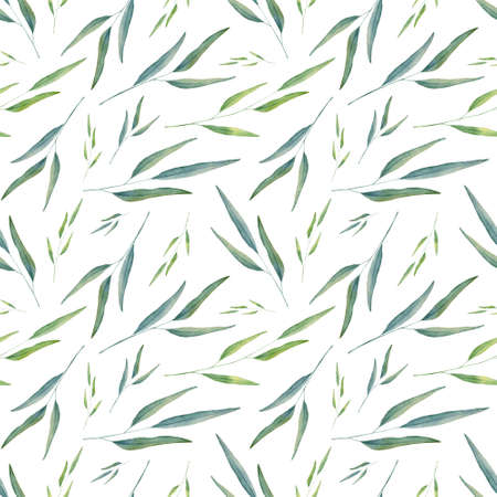 Field grass seamless pattern. Hand drawn watercolor greenery illustration for fabric, wrapping paper on white backgroundの写真素材