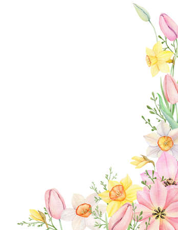 floral frame. Watercolor pink tulip, yellow and white daffodles ornament. Hand drawn watercolor illustration. decorative design elements.の写真素材