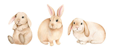 Little bunnies on an isolated white background, watercolor illustration, cute woodland animal, easter bunny, rabbitsの写真素材