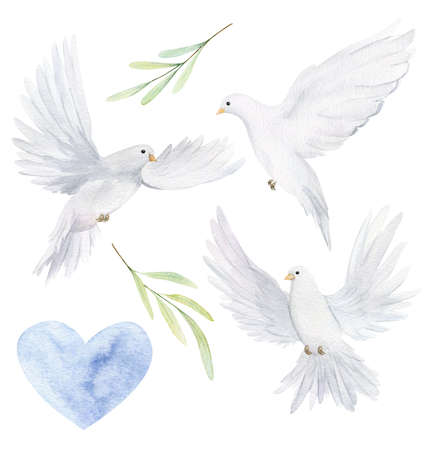 Watercolor white dove and olive branches. Hand drawn watercolor illustration. decorative design elements.の写真素材