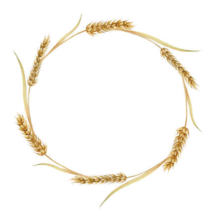 Watercolor wheat wreath. Hand drawn illustration isolated on white background. Frame Perfect for card, invitation, tags, printingの写真素材