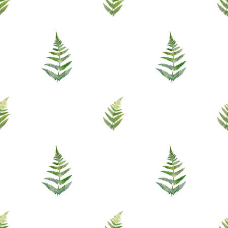 Watercolor greenery seamless pattern. Hand drawn fern illustration for fabric, wrapping paper on white backgroundの写真素材