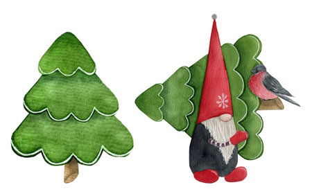 Christmas Gnome with pine tree, scandinavian elf with gift, watercolor illustration on an isolated white backgroundの写真素材